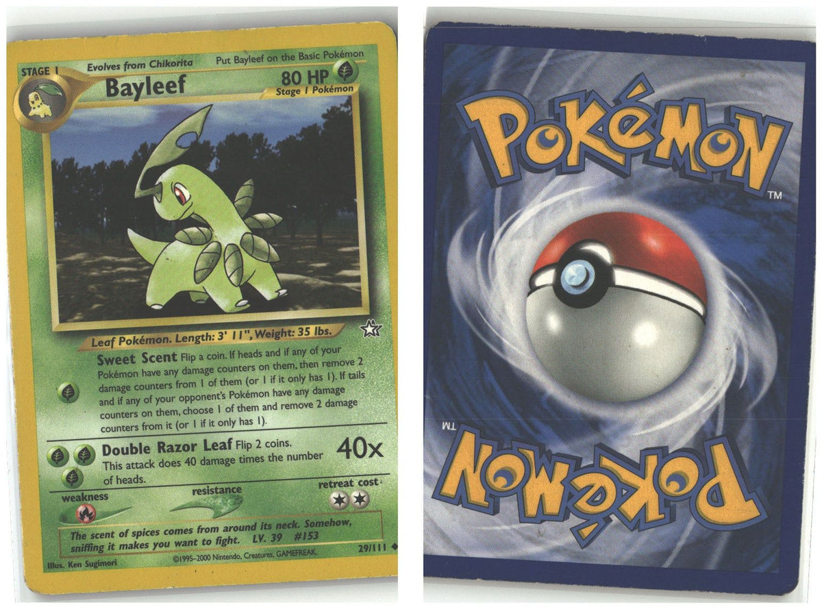 Front + Back scan