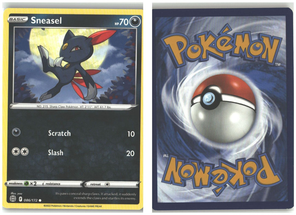 Front + Back scan
