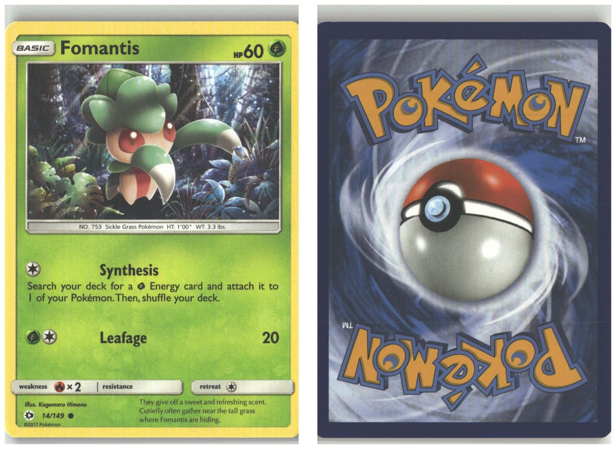 Front + Back scan