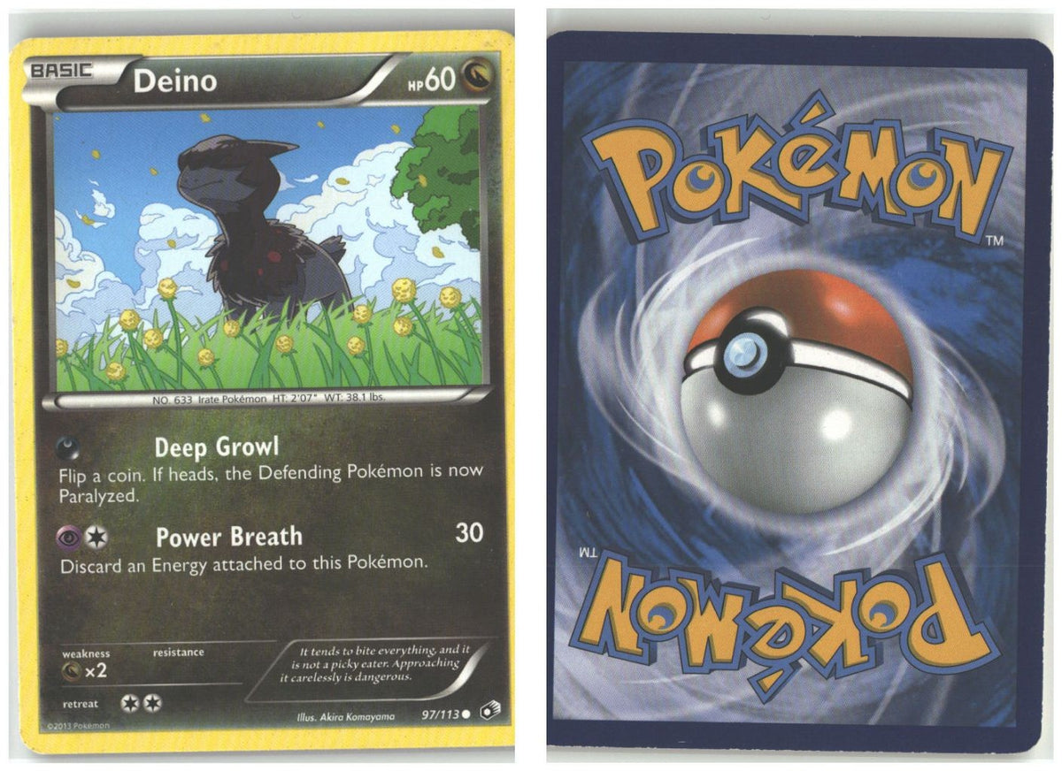 Front + Back scan