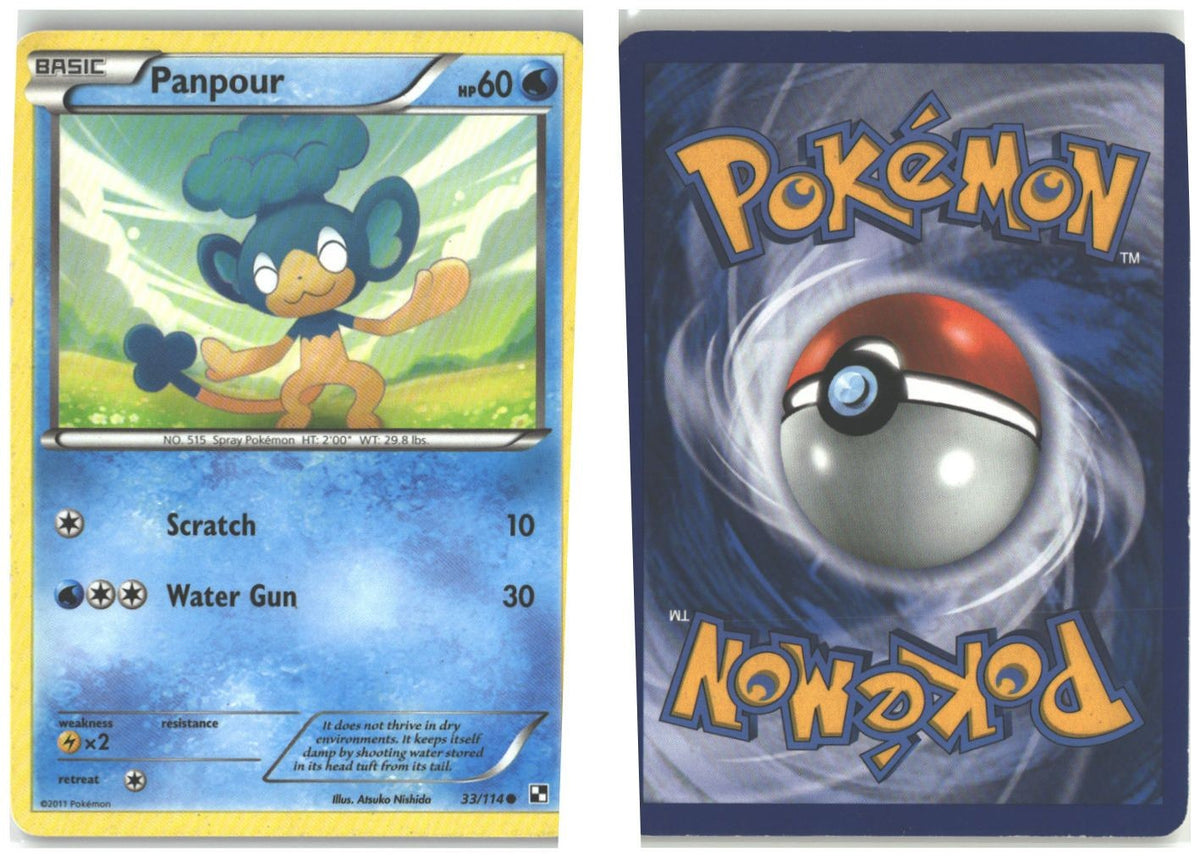 Front + Back scan