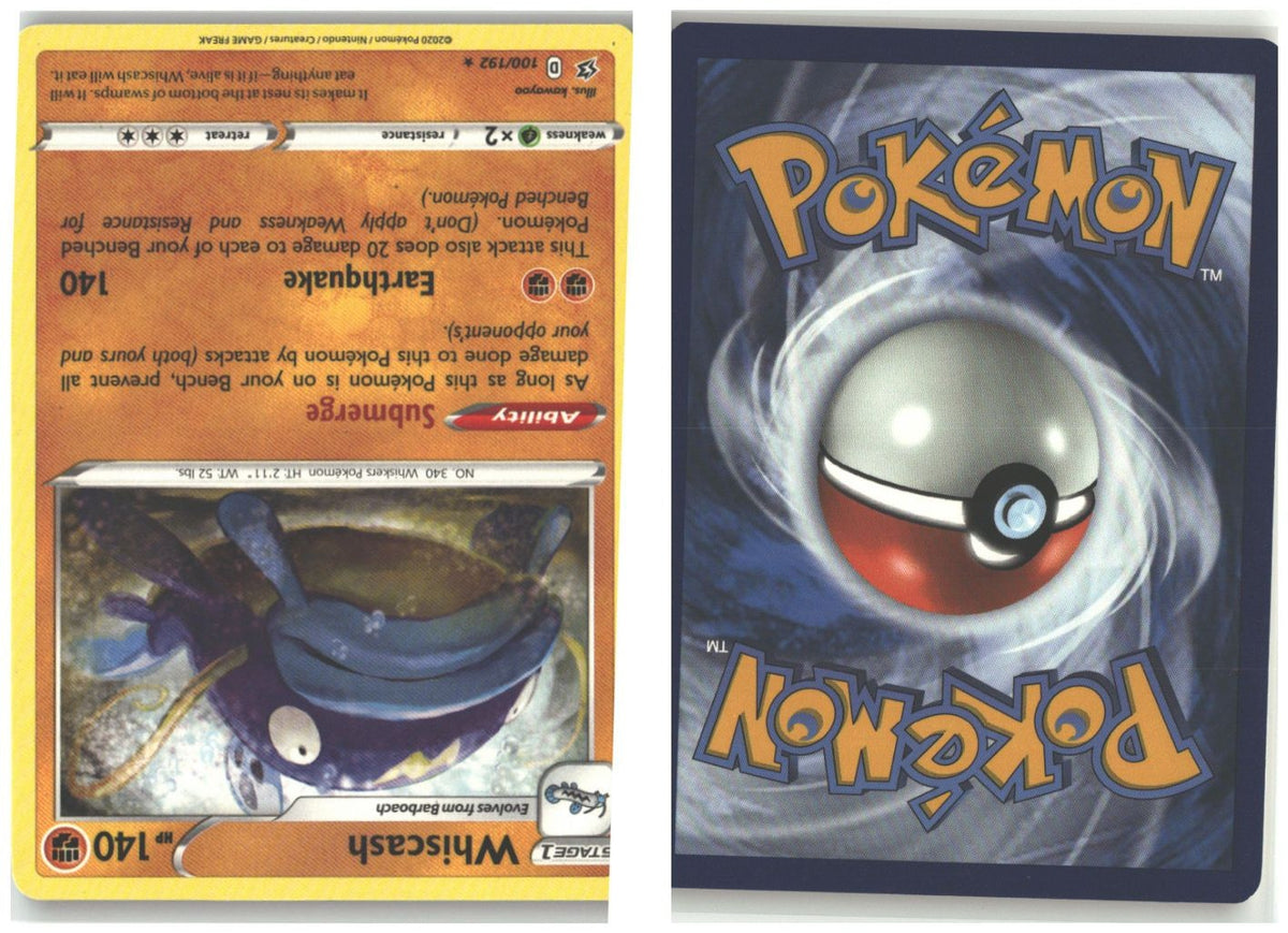 Front + Back scan