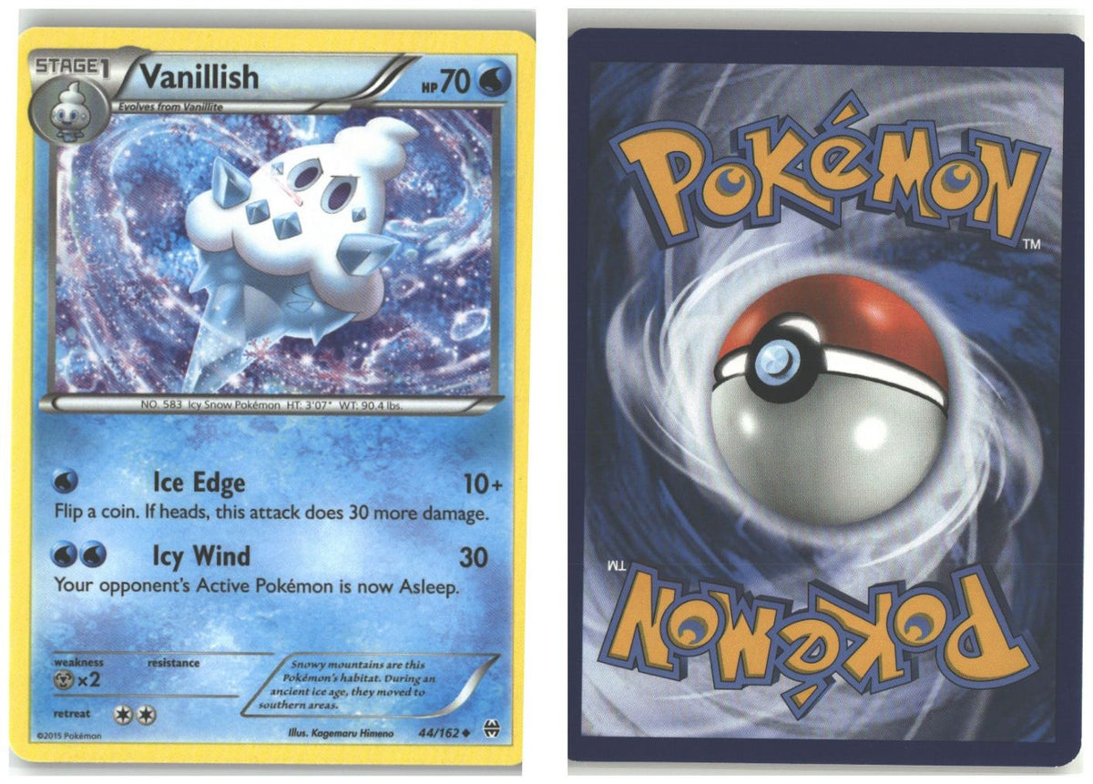 Front + Back scan