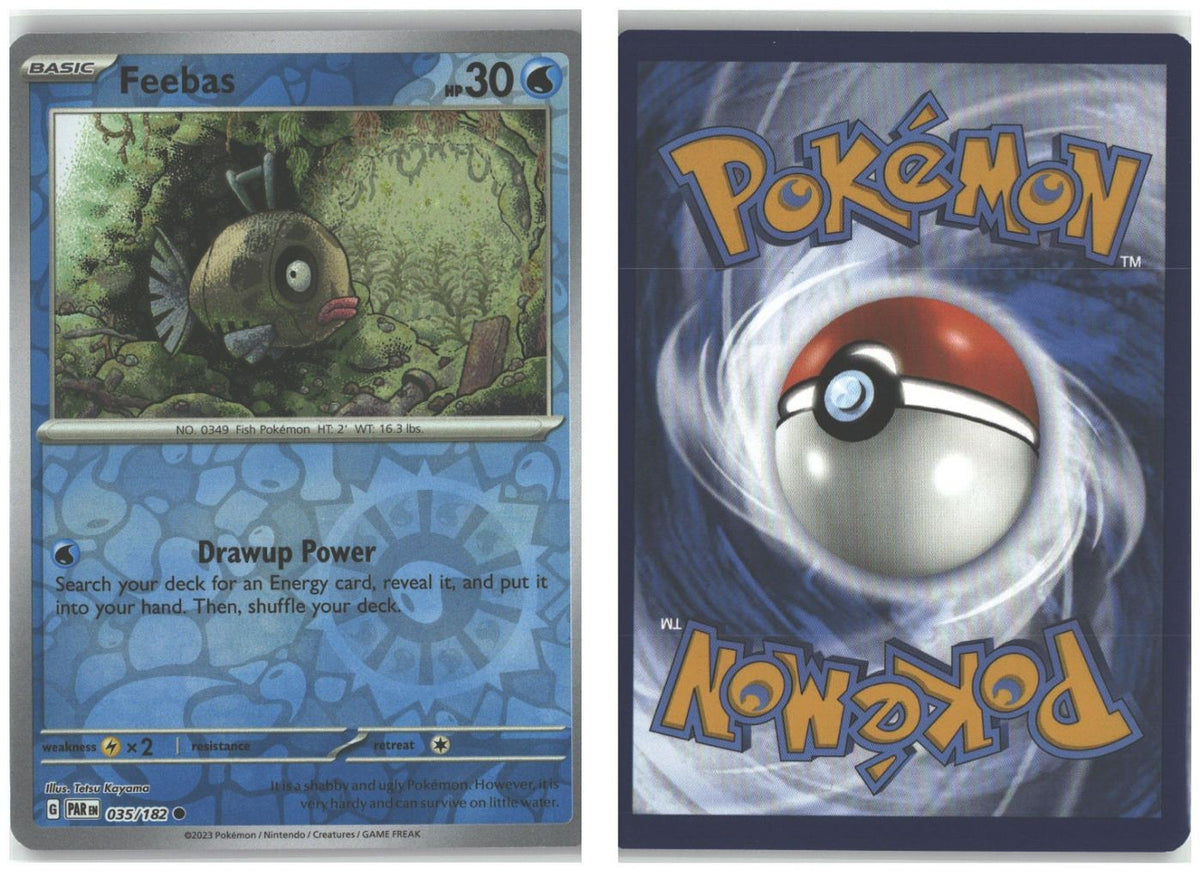 Front + Back scan