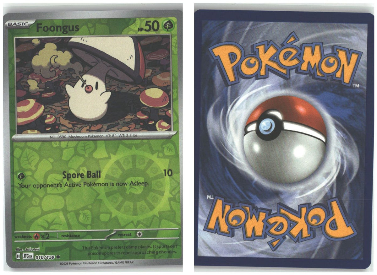 Front + Back scan