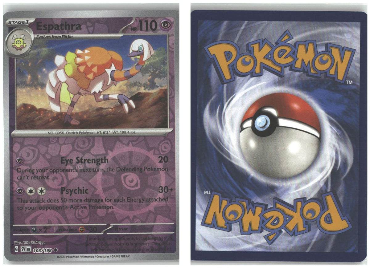 Front + Back scan