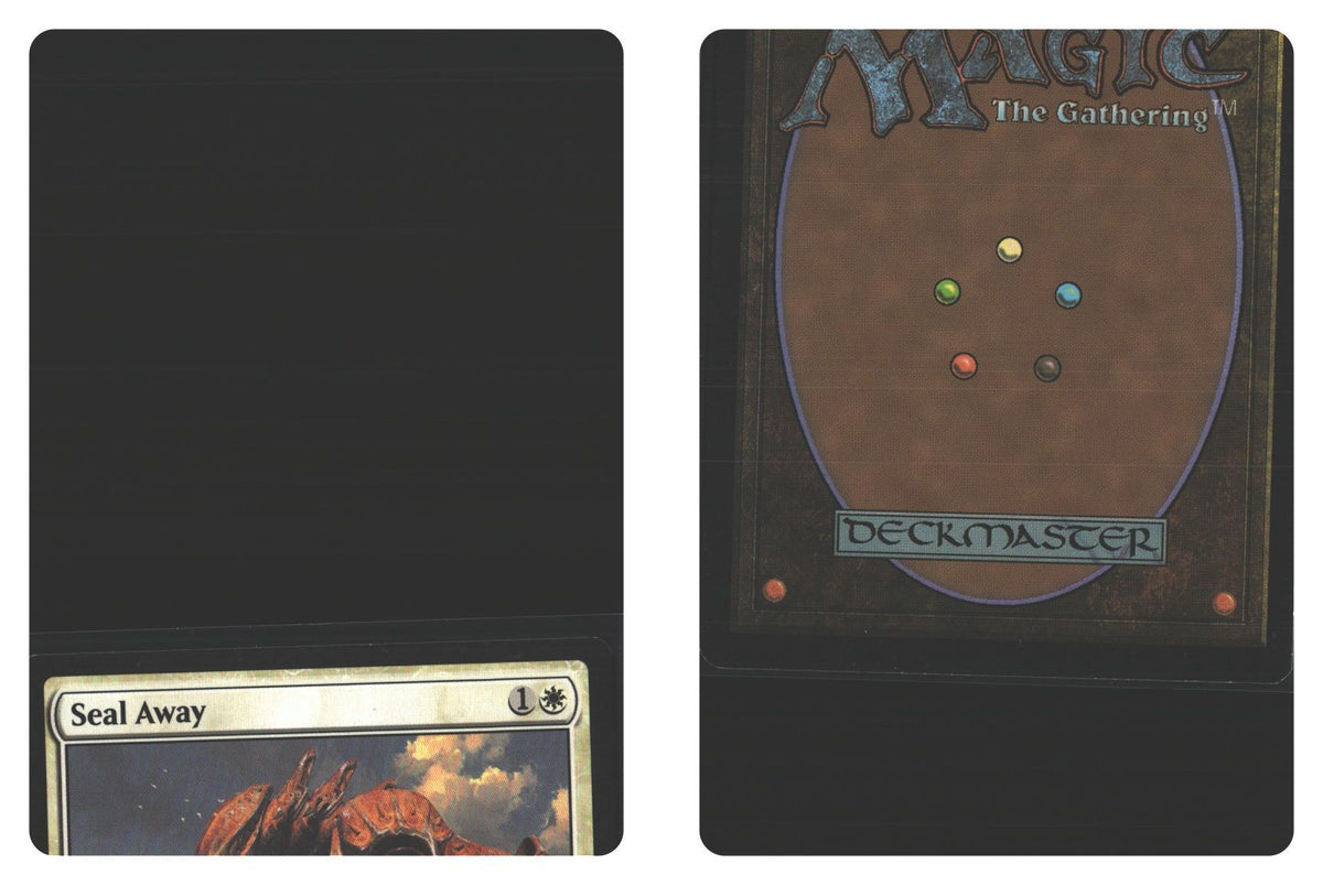 Front + Back scan