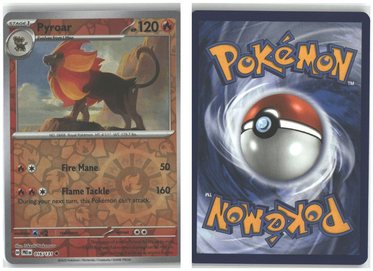 Front + Back scan