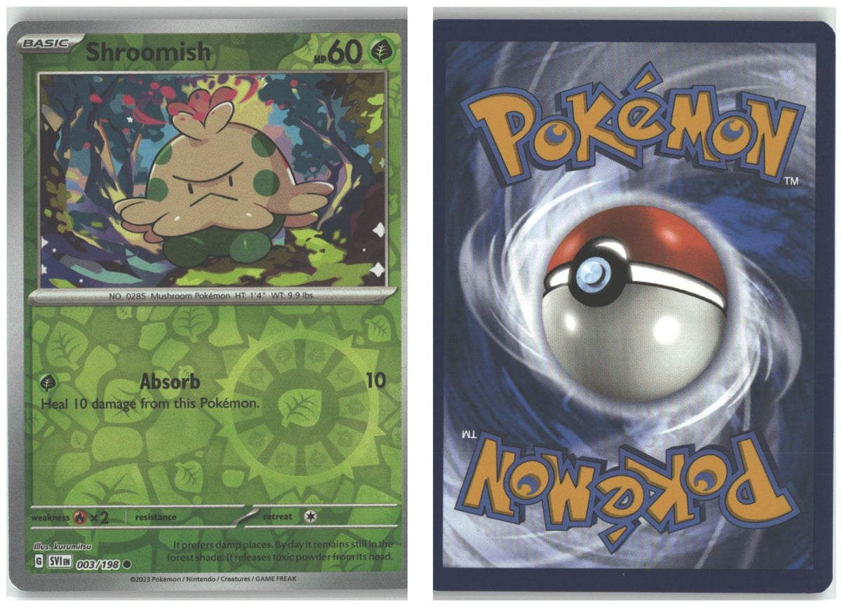 Front + Back scan