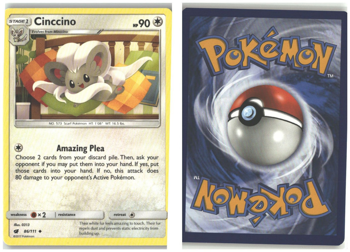 Front + Back scan