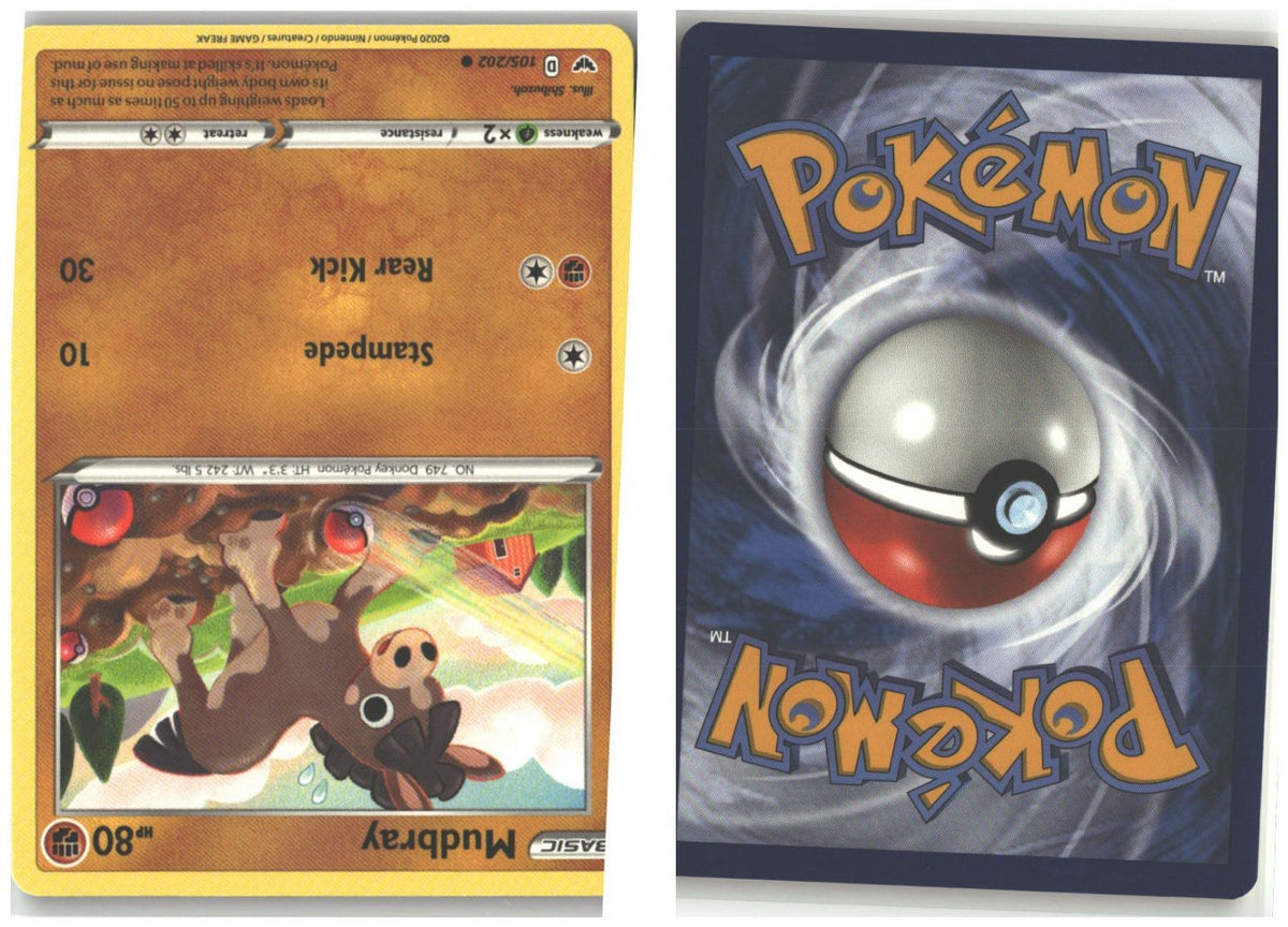 Front + Back scan