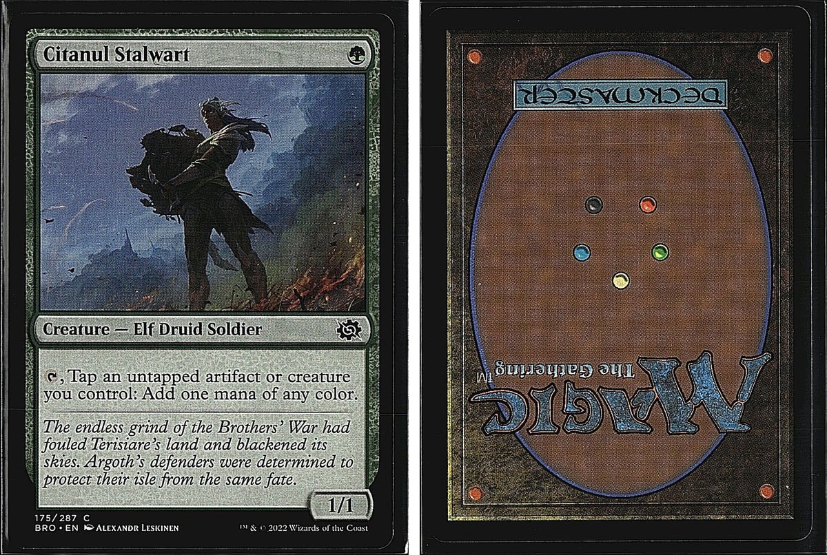 Front + Back scan