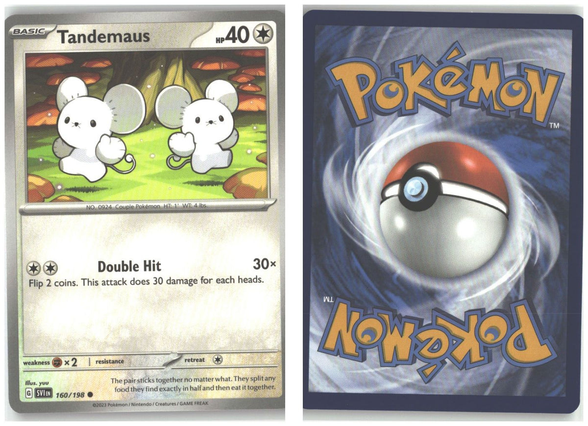 Front + Back scan