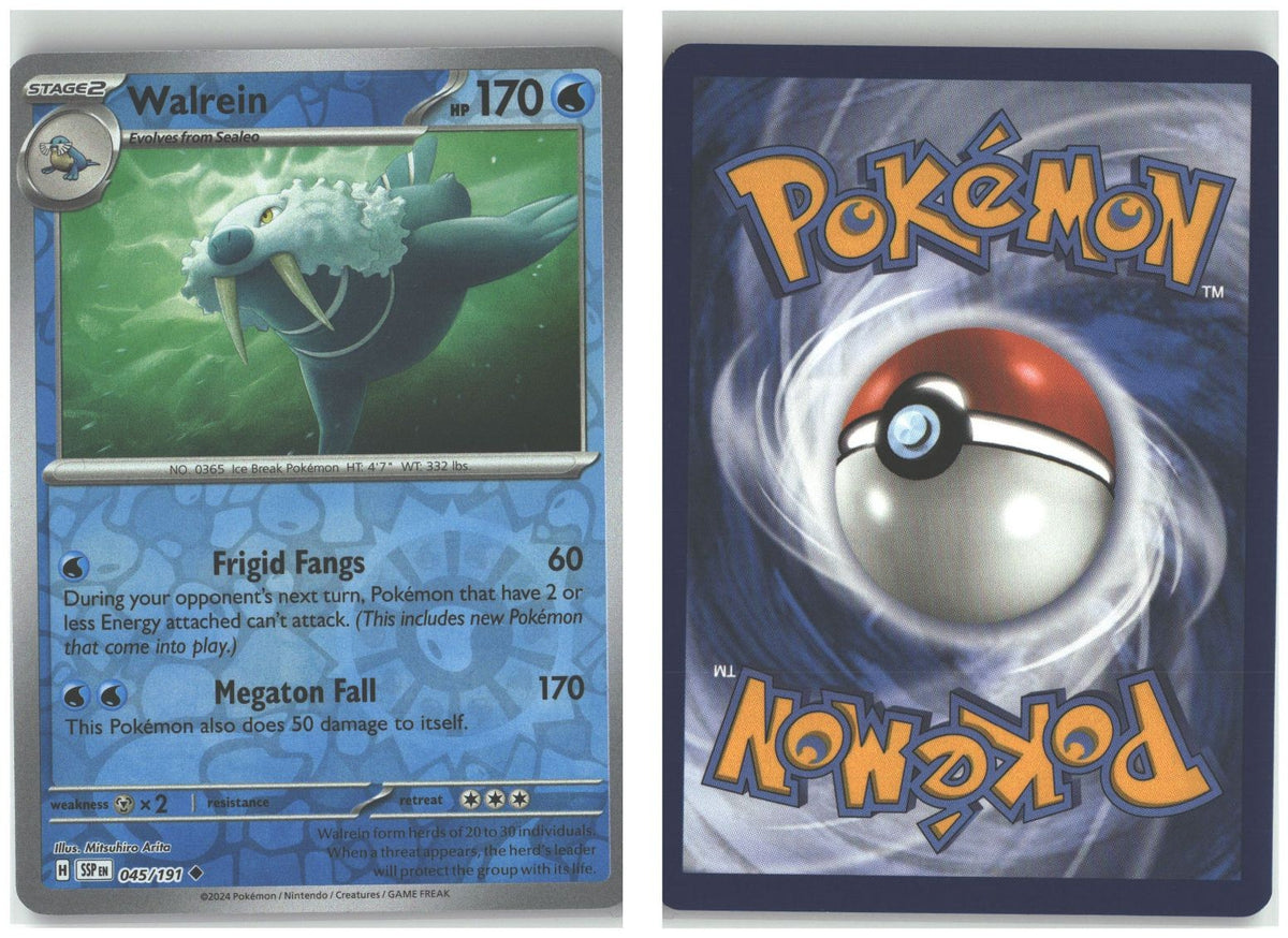 Front + Back scan