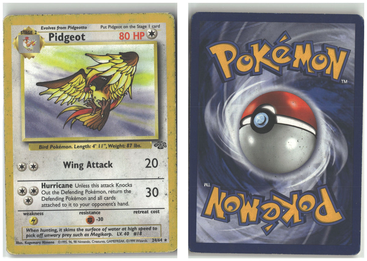 Front + Back scan