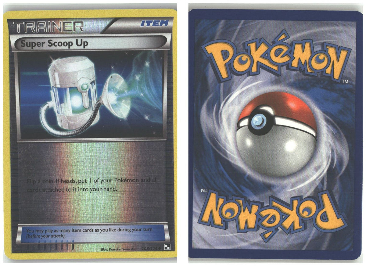 Front + Back scan