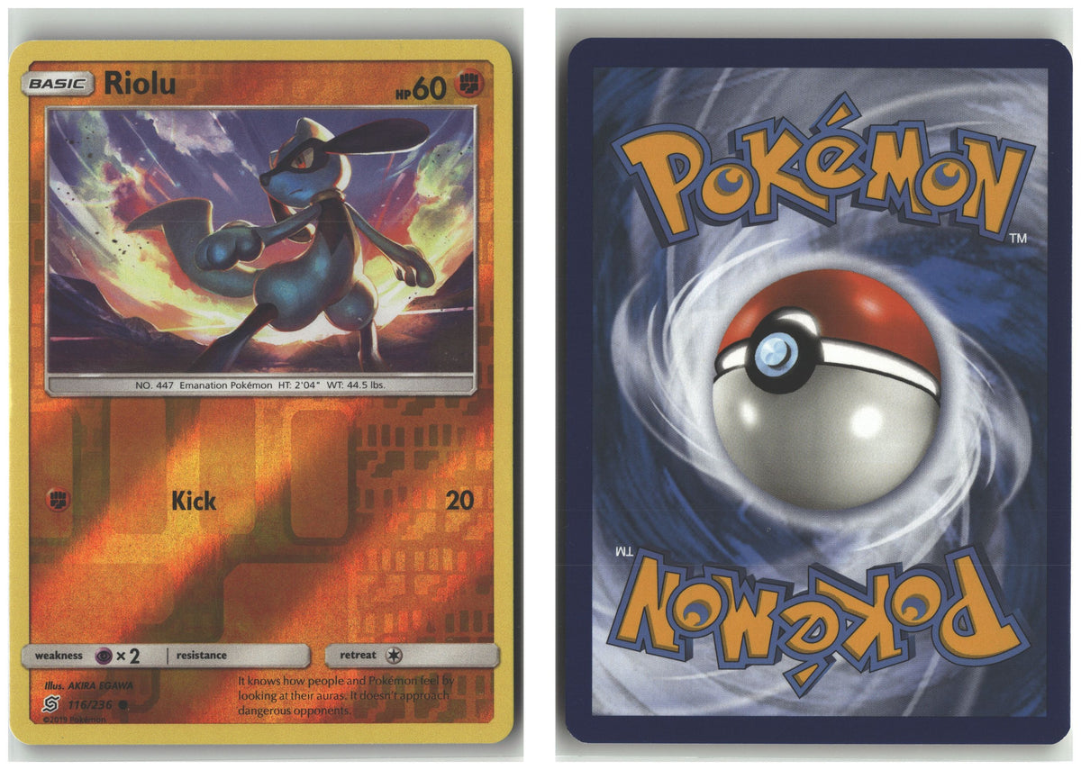 Front + Back scan