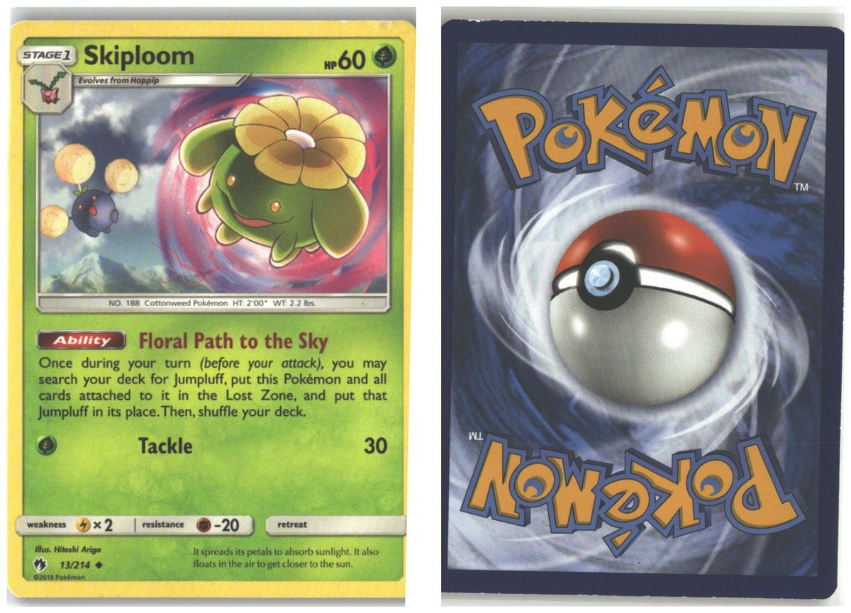 Front + Back scan