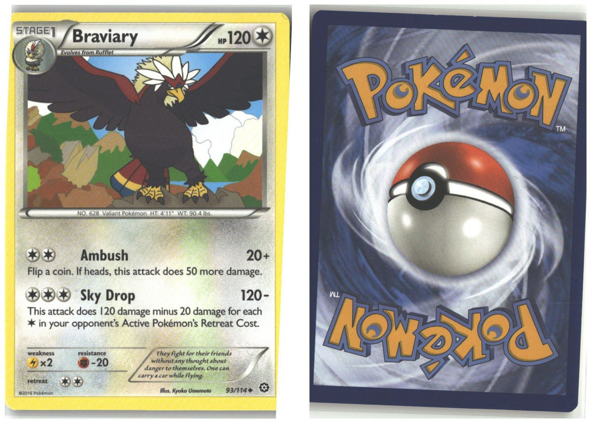 Front + Back scan