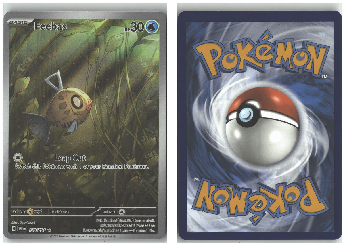 Front + Back scan