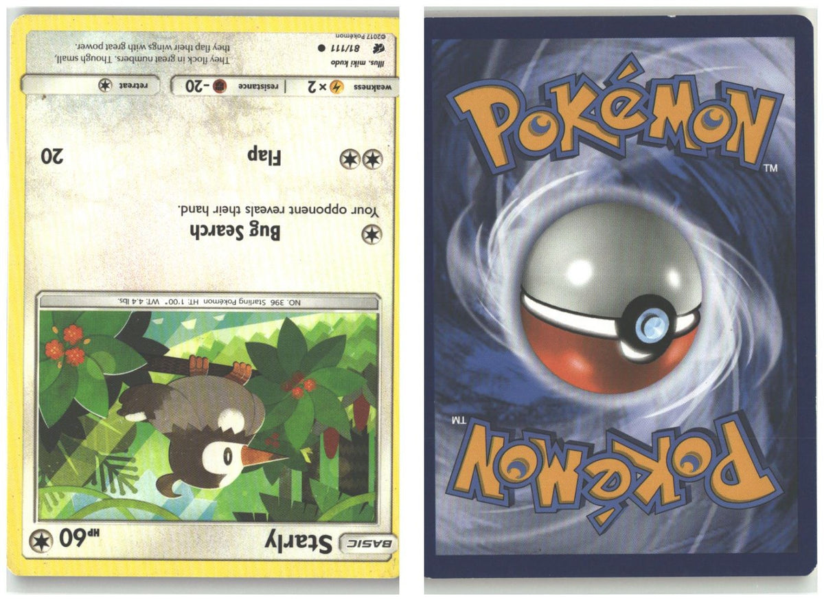 Front + Back scan