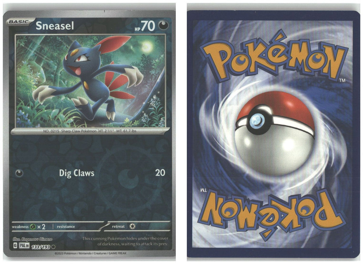 Front + Back scan