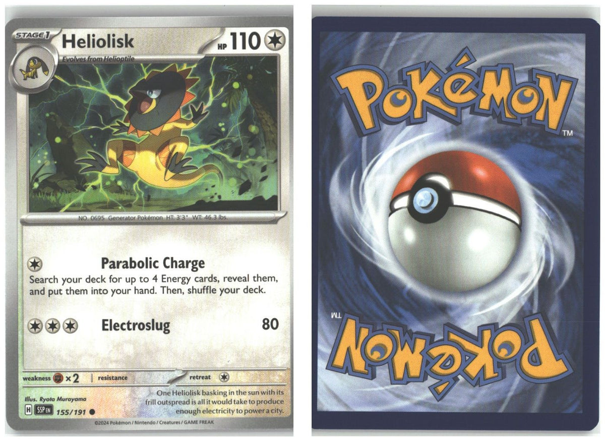 Front + Back scan