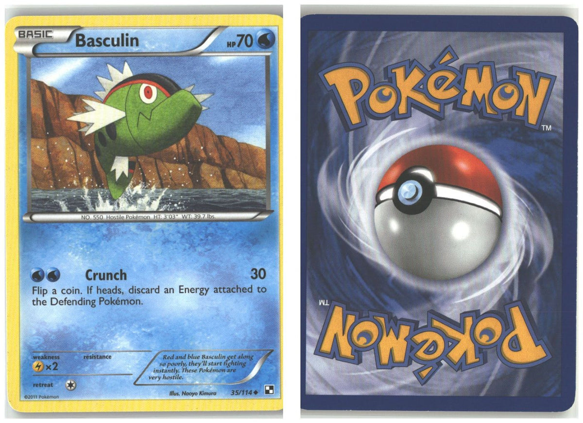 Front + Back scan