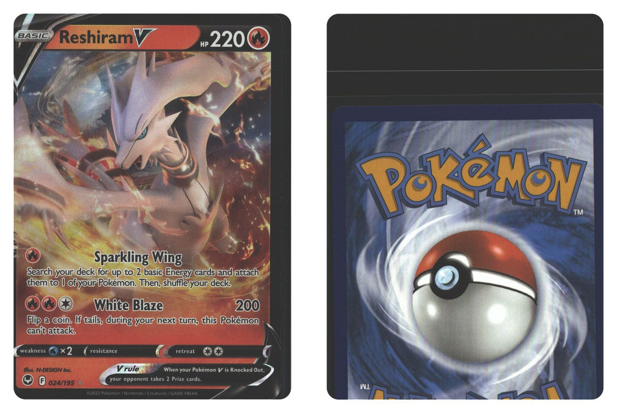 Front + Back scan