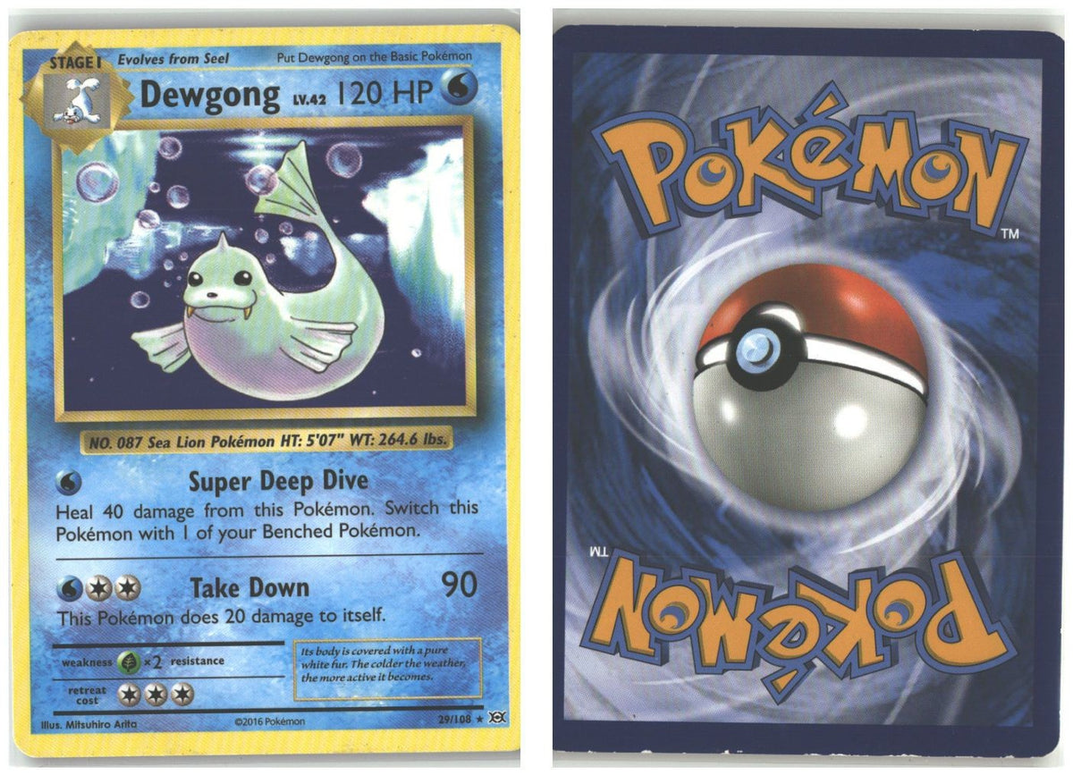 Front + Back scan