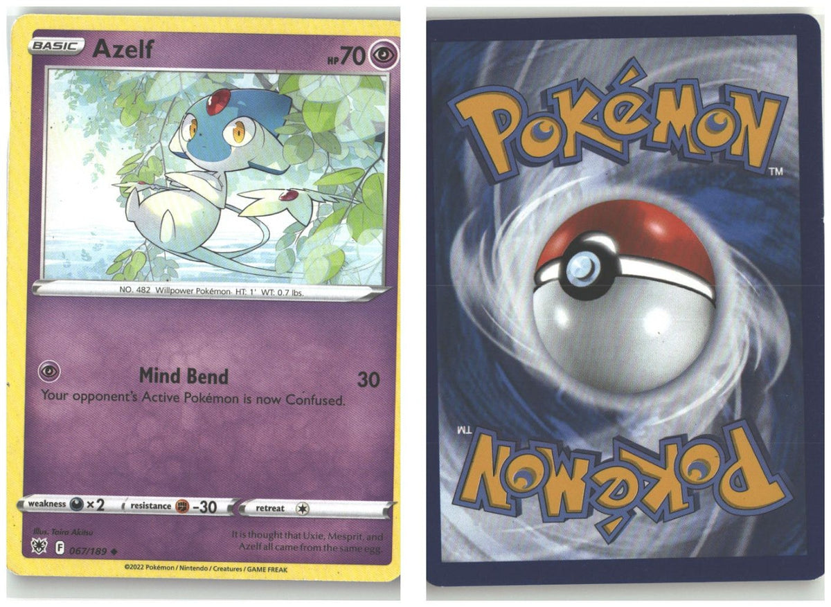 Front + Back scan