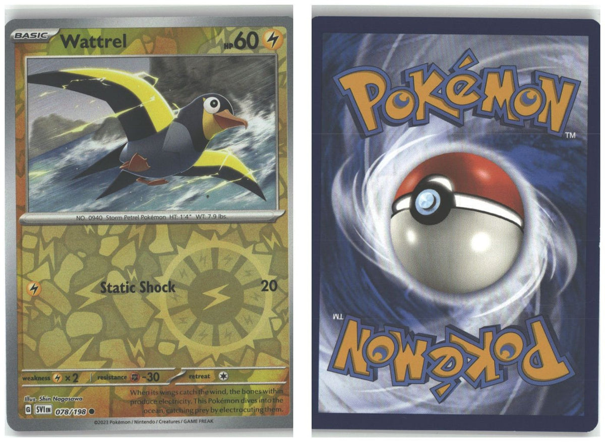 Front + Back scan