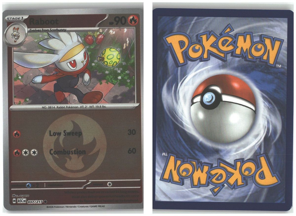 Front + Back scan