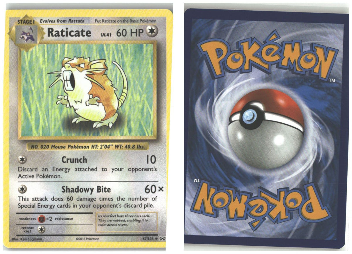 Front + Back scan