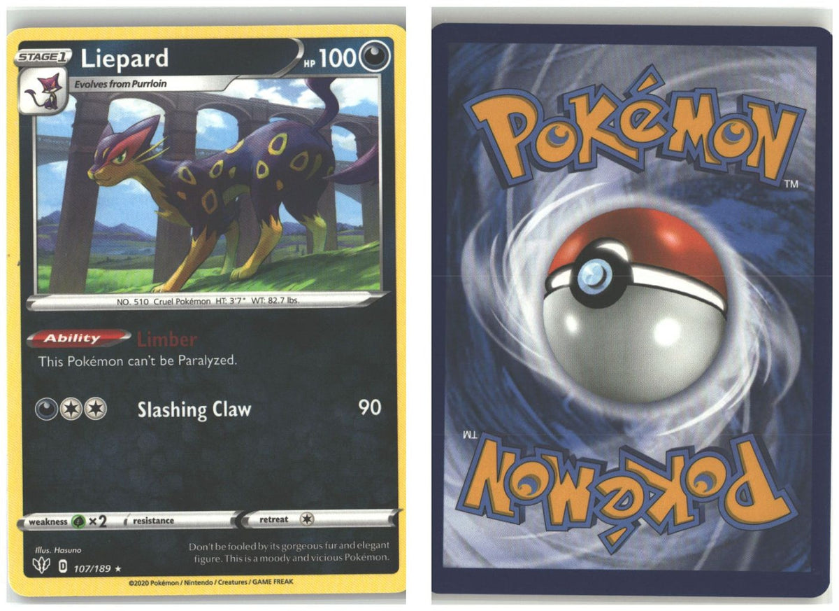 Front + Back scan