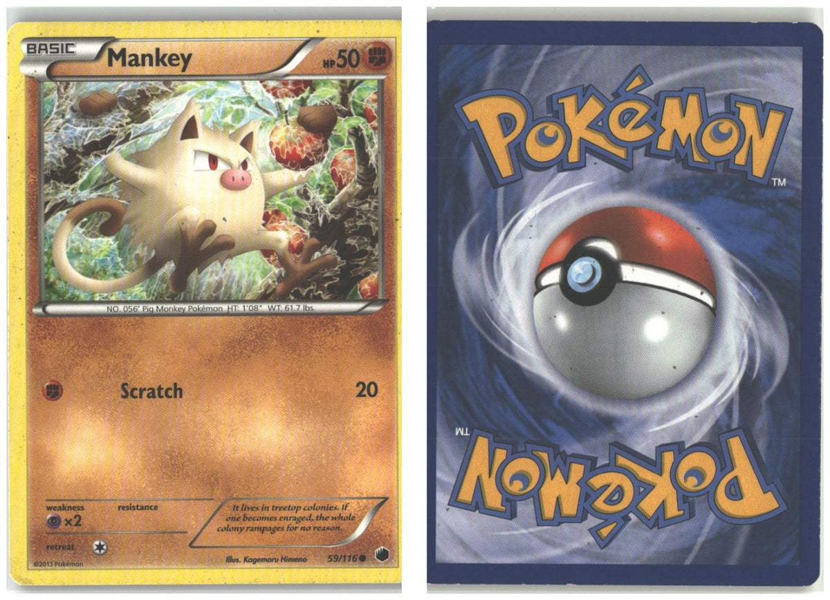 Front + Back scan