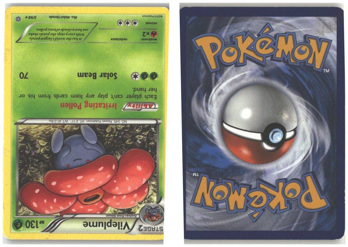 Front + Back scan