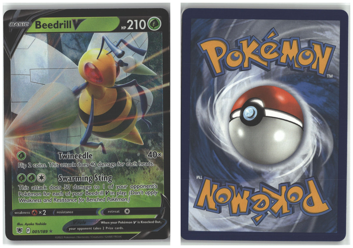 Front + Back scan