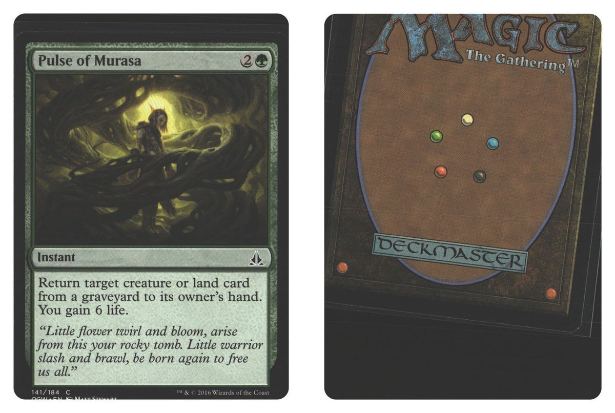 Front + Back scan