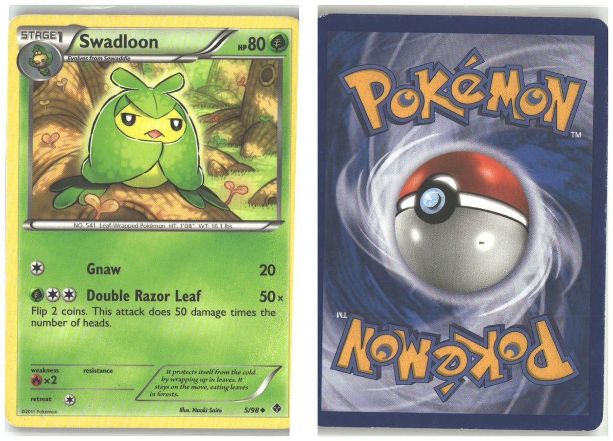 Front + Back scan