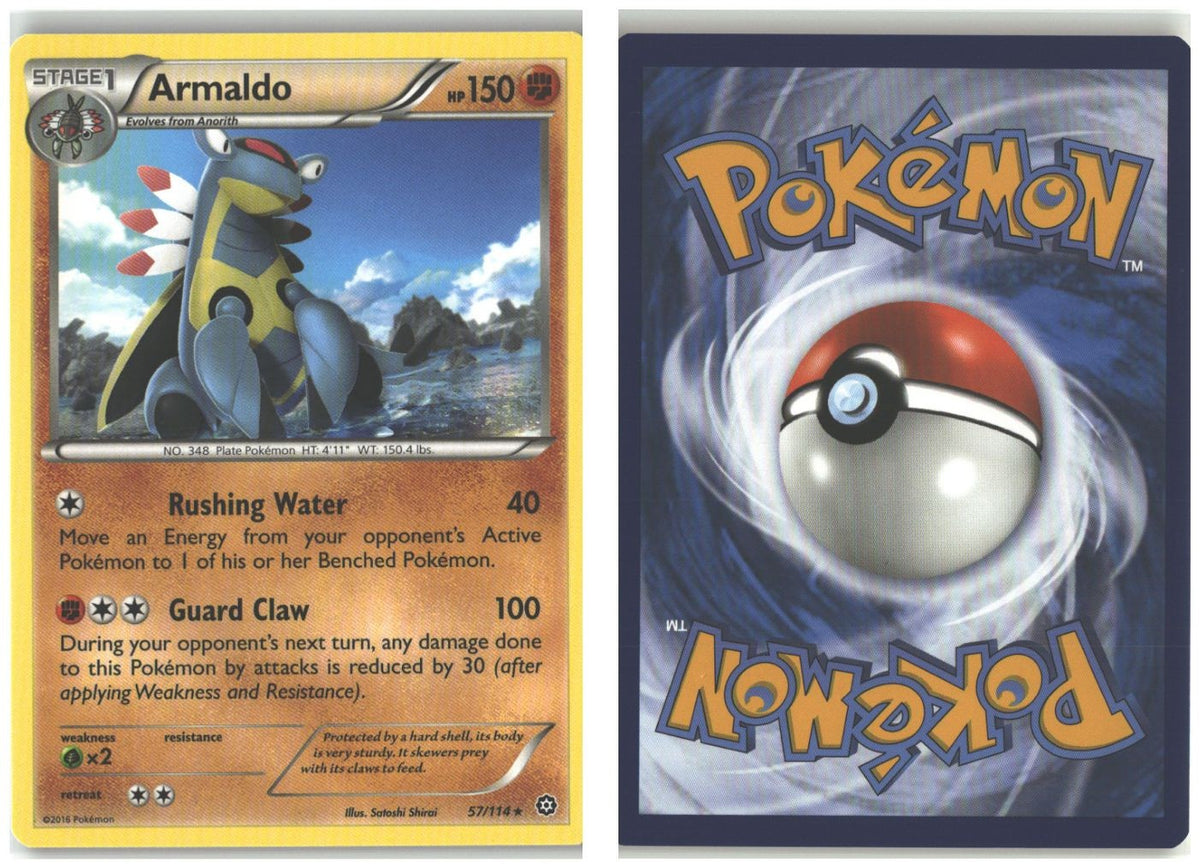 Front + Back scan