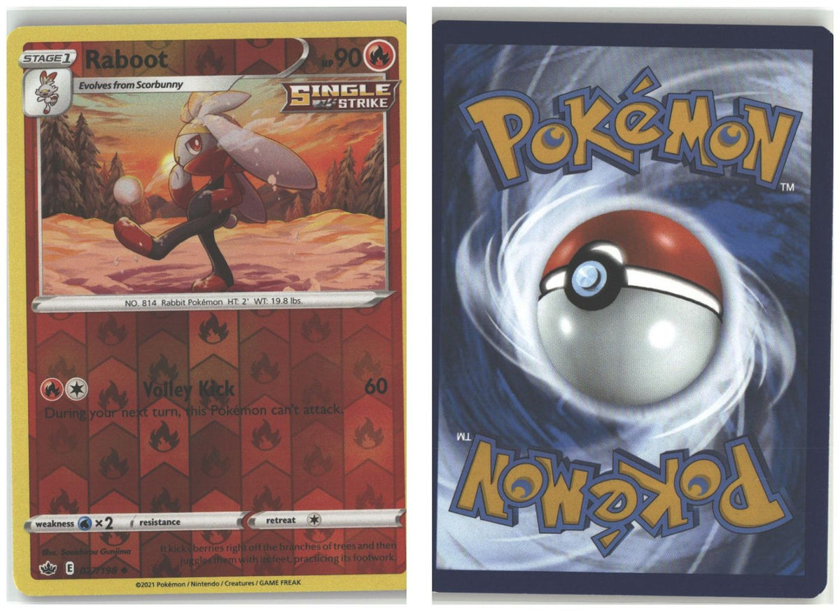 Front + Back scan