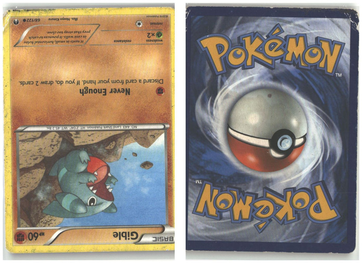Front + Back scan