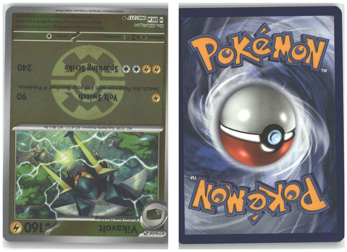 Front + Back scan