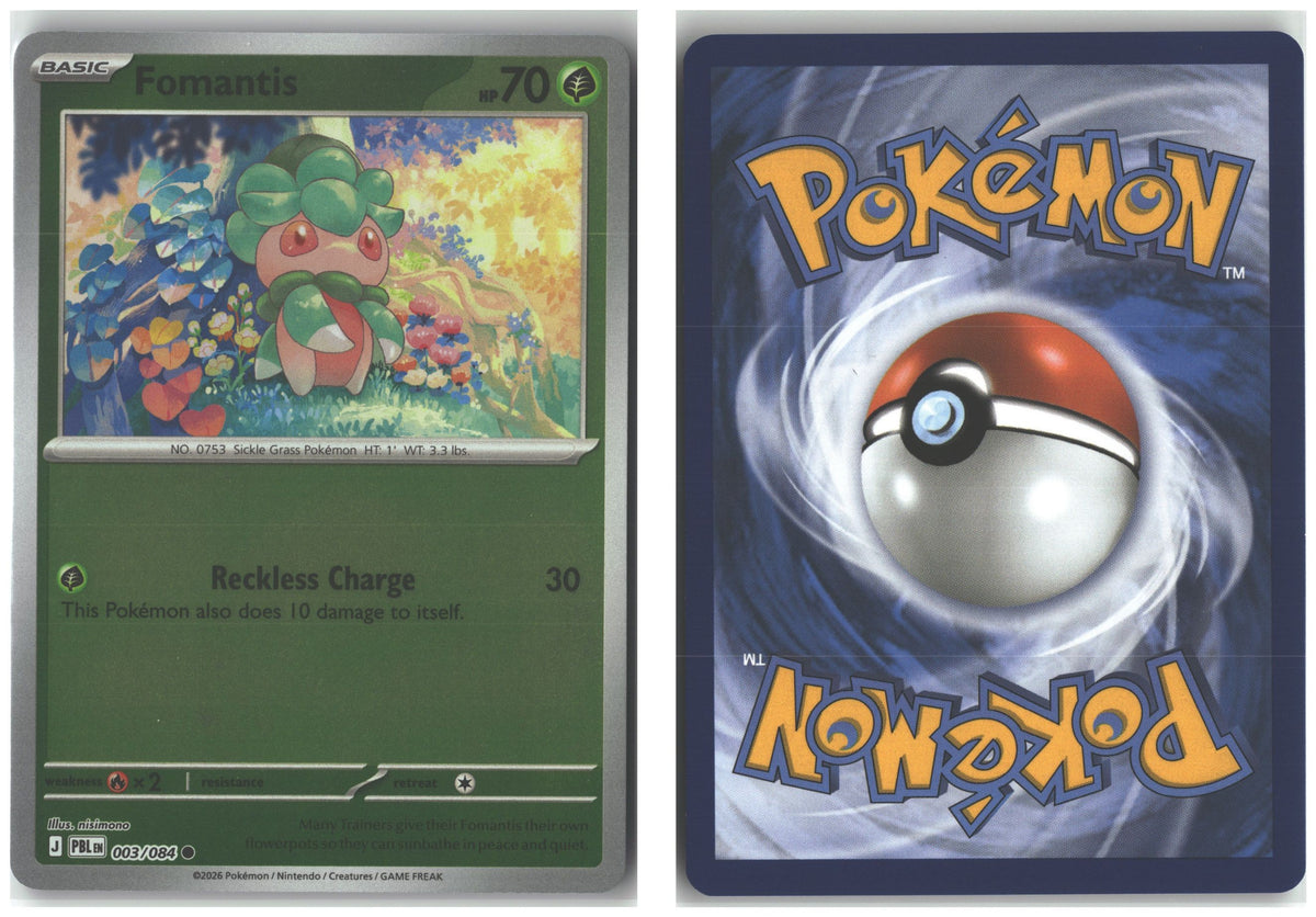 Front + Back scan