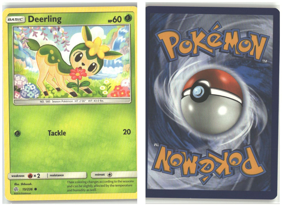 Front + Back scan