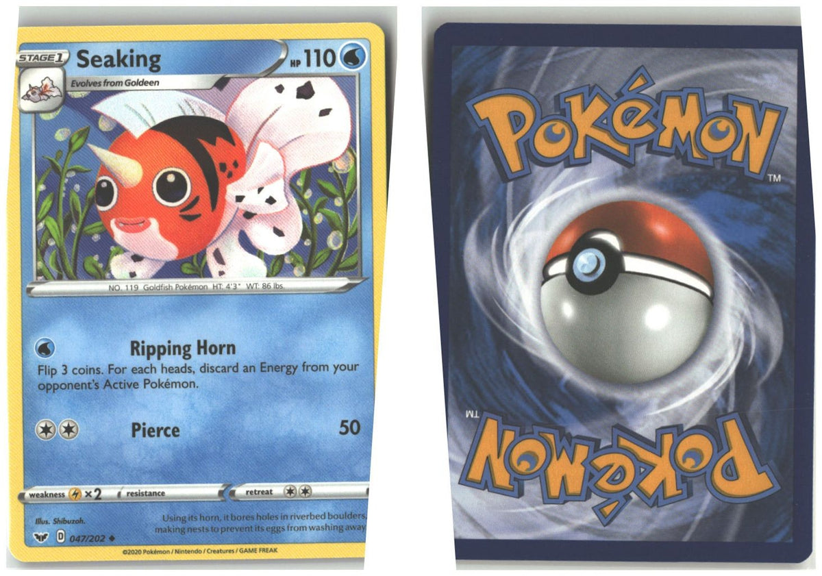Front + Back scan