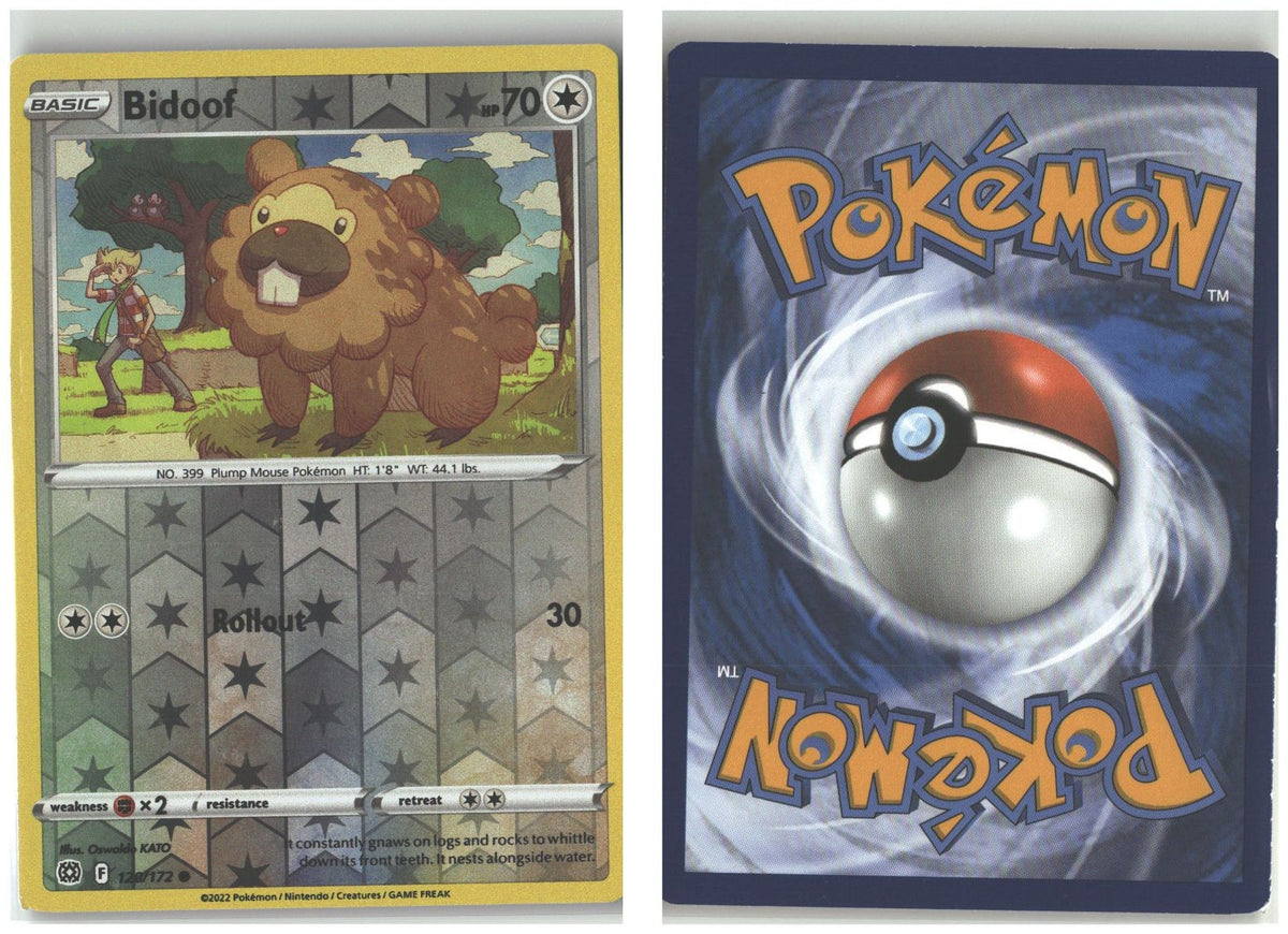 Front + Back scan