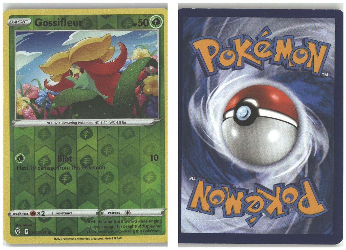 Front + Back scan