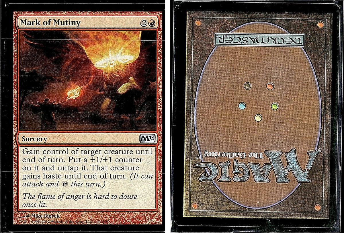 Front + Back scan